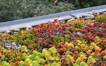 the cost of Wisbech green roof installation